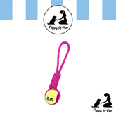 Puppy N Paw Rope with Tennis Ball for Pets